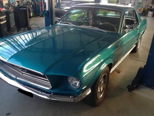 Mustang in der Halle